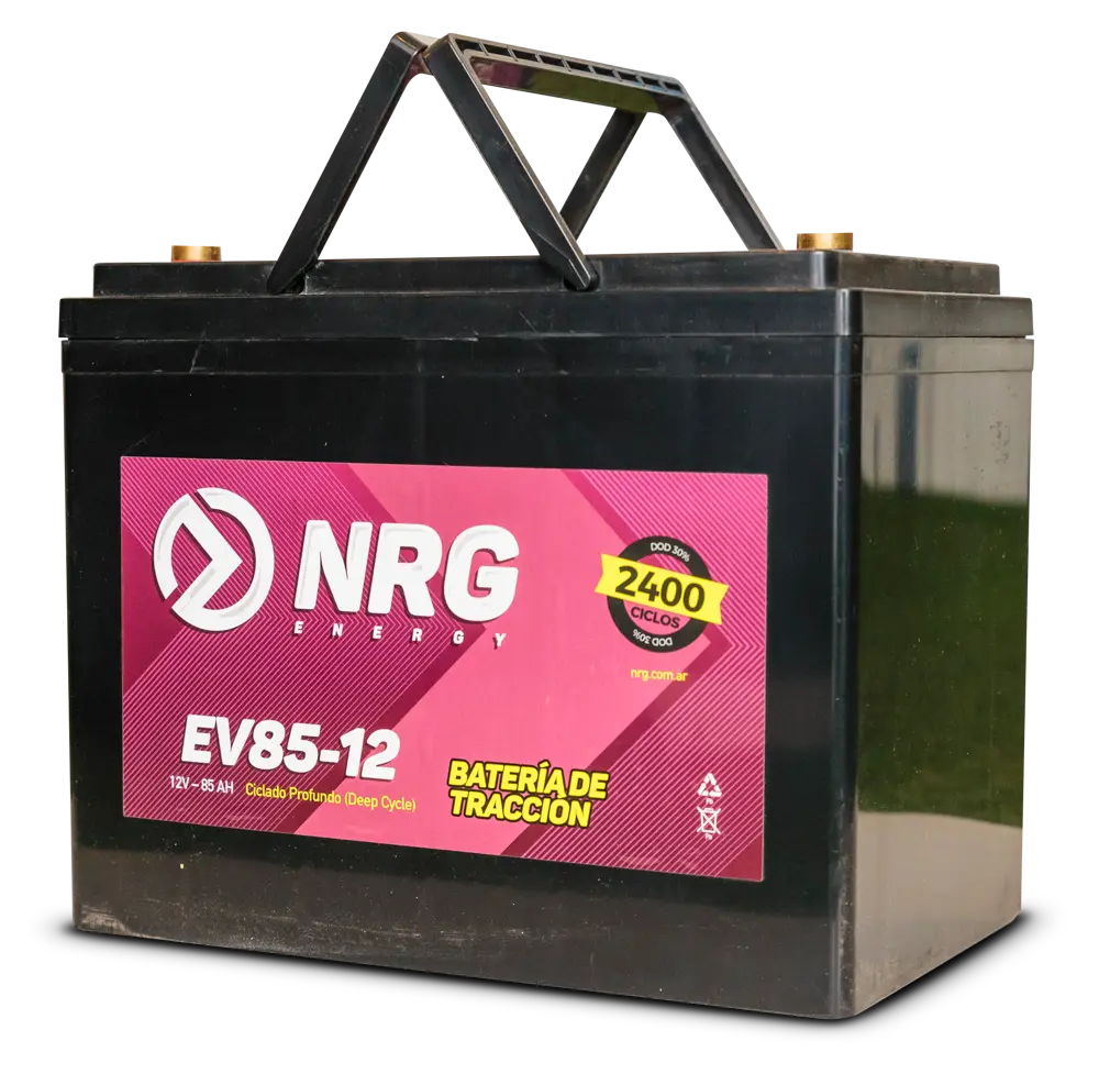 NRG EV85-12