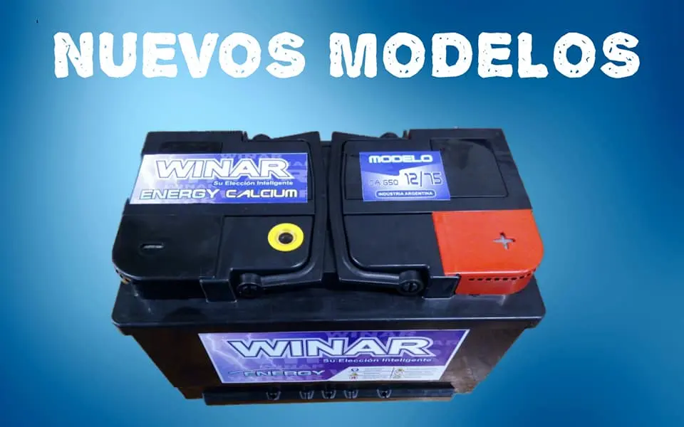 Winar 12x75