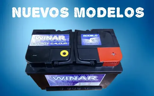Winar 12x75